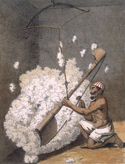 Cardatura del cotone da 